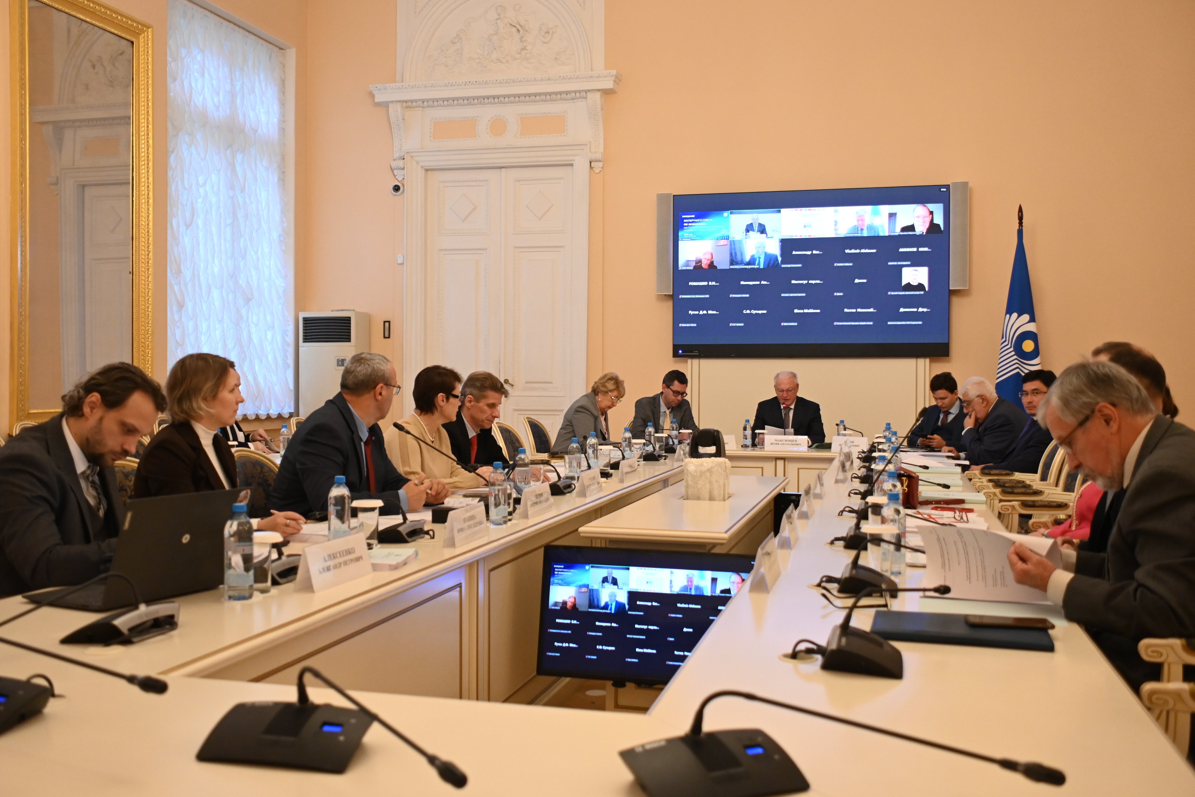 Платформенная занятость, трансграничные банкротства: темы заседания Экспертного совета по экономике при МПА СНГ