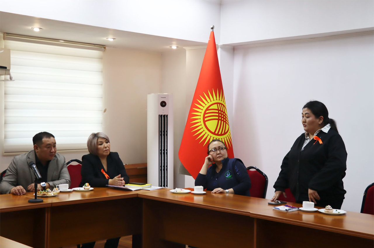 Федерация профессиональных союзов Кыргызстана проводит разъяснительные мероприятия против насилия на работе