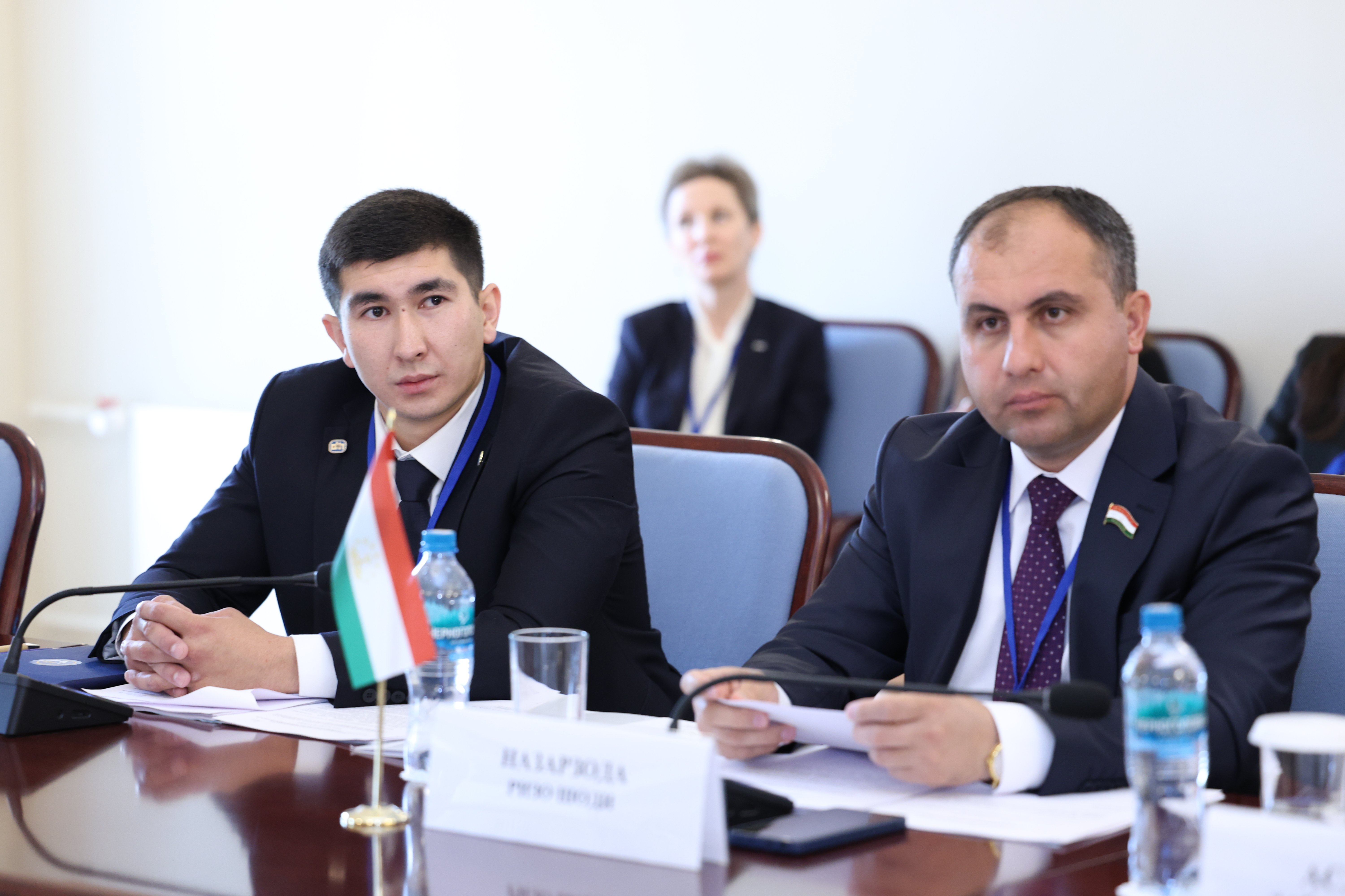 Молодежная межпарламентская ассамблея СНГ поддержала проект международных стажировок молодежи, инициированный ВКП 